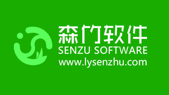 選擇森竹軟件服務(wù)，開發(fā)少走很多彎路！